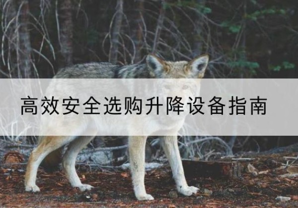 莱芜升降货梯厂家推荐-*安全选购升降设备指南