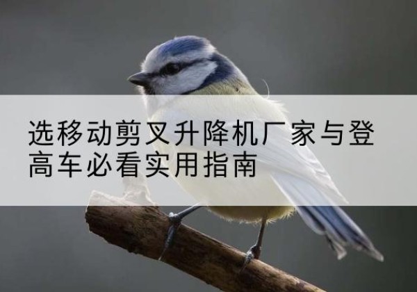 莱芜电动升降机厂家-选移动剪叉升降机厂家与登高车必看实用指南