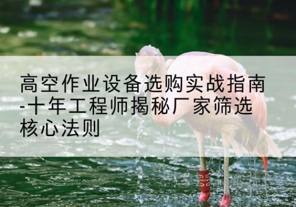 莱芜剪叉式升降机厂家-高空作业设备选购实战指南-十年工程师揭秘厂家筛选核心法则